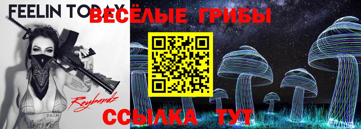 Галлюциногенные грибы ЛСД Хабаровск